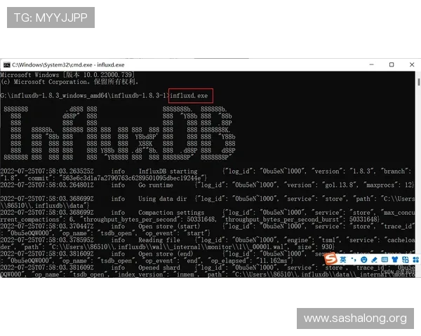db真人是哪里的详细介绍与背景分析，帮助玩家了解其起源与发展情况